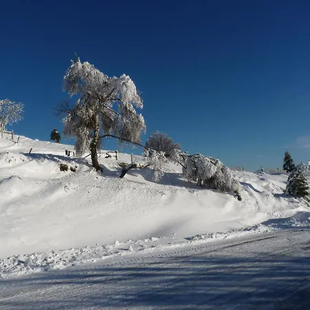 La Maison Bel'air * جوراردُميه