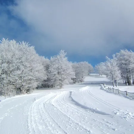 La Maison Bel'air * جوراردُميه