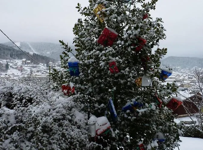 La Maison Bel'air 샬레 *