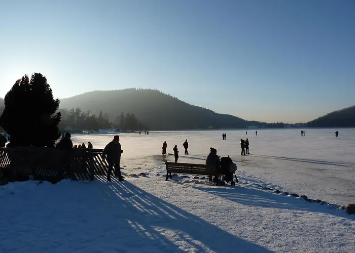 샬레 La Maison Bel'air