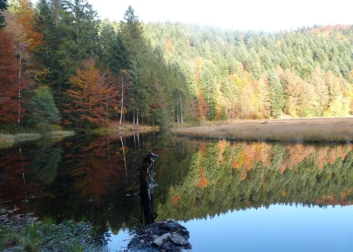 샬레 La Maison Bel'air *