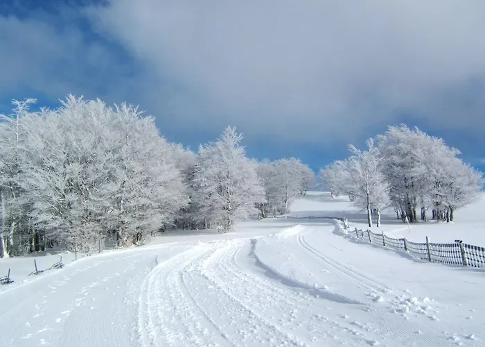 La Maison Bel'air * 제라르메르